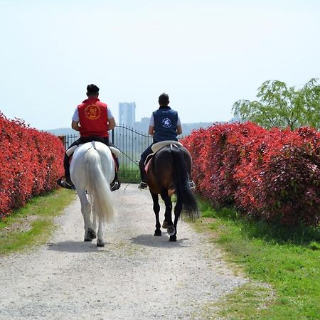 Vento Barocco - Equitazione E Turismo Villa Matera Dış mekan fotoğraf