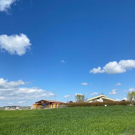 Vento Barocco - Equitazione E Turismo Villa Matera Dış mekan fotoğraf