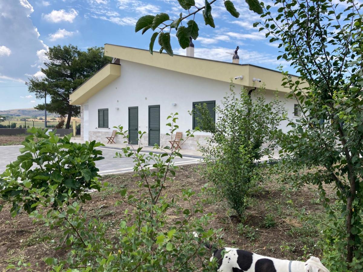 Vento Barocco - Equitazione E Turismo Villa Matera Dış mekan fotoğraf