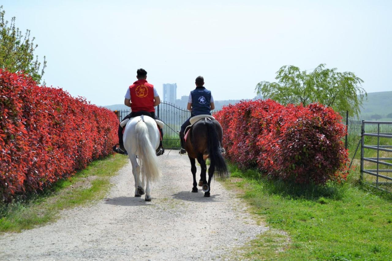 Vento Barocco - Equitazione E Turismo Villa Matera Dış mekan fotoğraf
